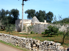 PERFECT LANSCAPE Parco del Negroamaro is located in the most beautiful side of Salento in Puglia, very south of Italy, we offer a new masseria building inlcuding the best features in the real estate market to give you a VIP comfort and VIP real estate investment... We are the land owners and leaders in Salento Real Estate business... we are looking for realtors who wants to increase their real estate business in Italy, because this is just the starting point of our MASSERIA PROJECT IN SALENTO... Own your future in the magic area of Salento Puglia