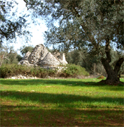 PERFECT LANSCAPE Parco del Negroamaro is located in the most beautiful side of Salento in Puglia, very south of Italy, we offer a new masseria building inlcuding the best features in the real estate market to give you a VIP comfort and VIP real estate investment... We are the land owners and leaders in Salento Real Estate business... we are looking for realtors who wants to increase their real estate business in Italy, because this is just the starting point of our MASSERIA PROJECT IN SALENTO... Own your future in the magic area of Salento Puglia