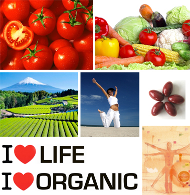Health food manufacturing produced with organic lycopene, Italian organic health food products made in Italy, hearth health care and cardiovascular disease prevention products from an Italian manufacturer, dietary supplement food organic suppliers and health food pills to USA, Canada, Middle East and Europe health care European dietary food wholesale distributors. Supplement food manufacturer with organic lycopene for health care business to business, organic lycopene for health care, skin care, anti aging for wholesale business and industrial applications